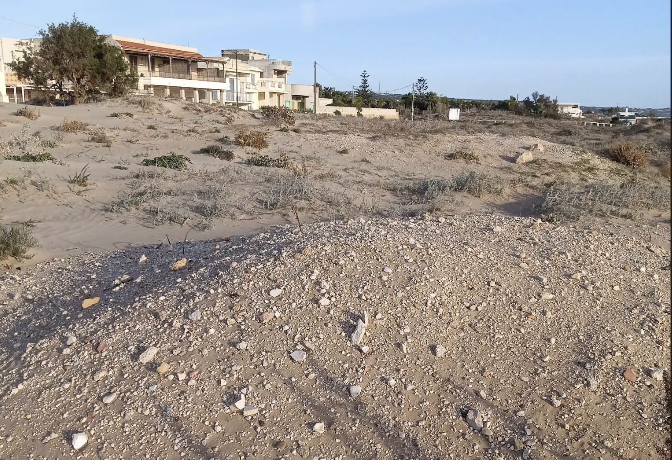 Residui lapidei che affiorano dalla sabbia. Le dune del cordone costiero ad est di Donnalucata puntellate di inerti
