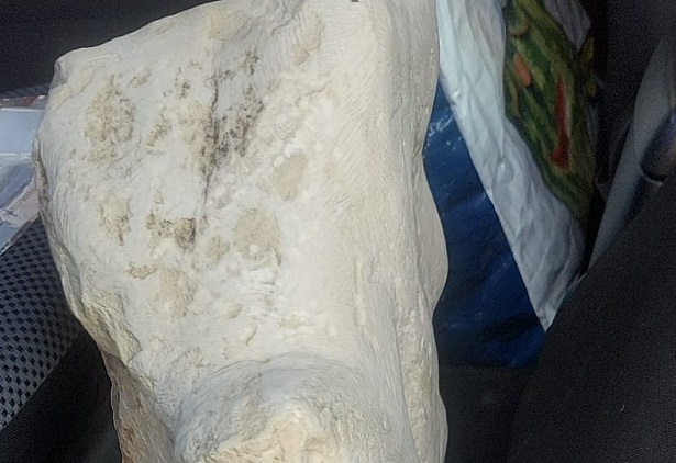 Vittoria: aveva rubato una scultura di Alfio Nicolosi. Arrestato