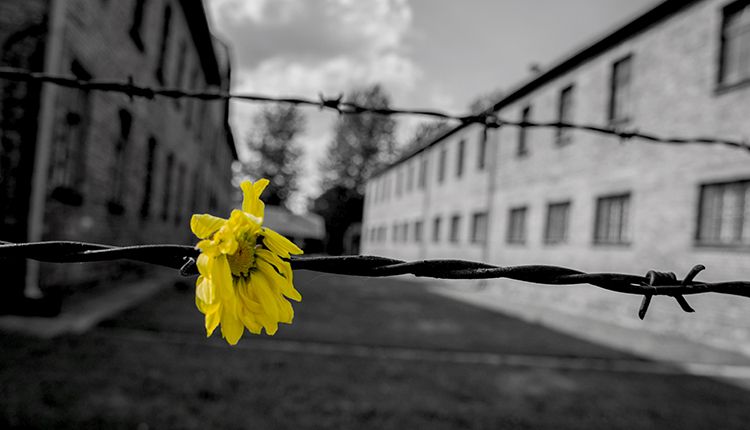 Il 27 gennaio è la giornata della memoria: per non dimenticare. Le principali iniziative in provincia