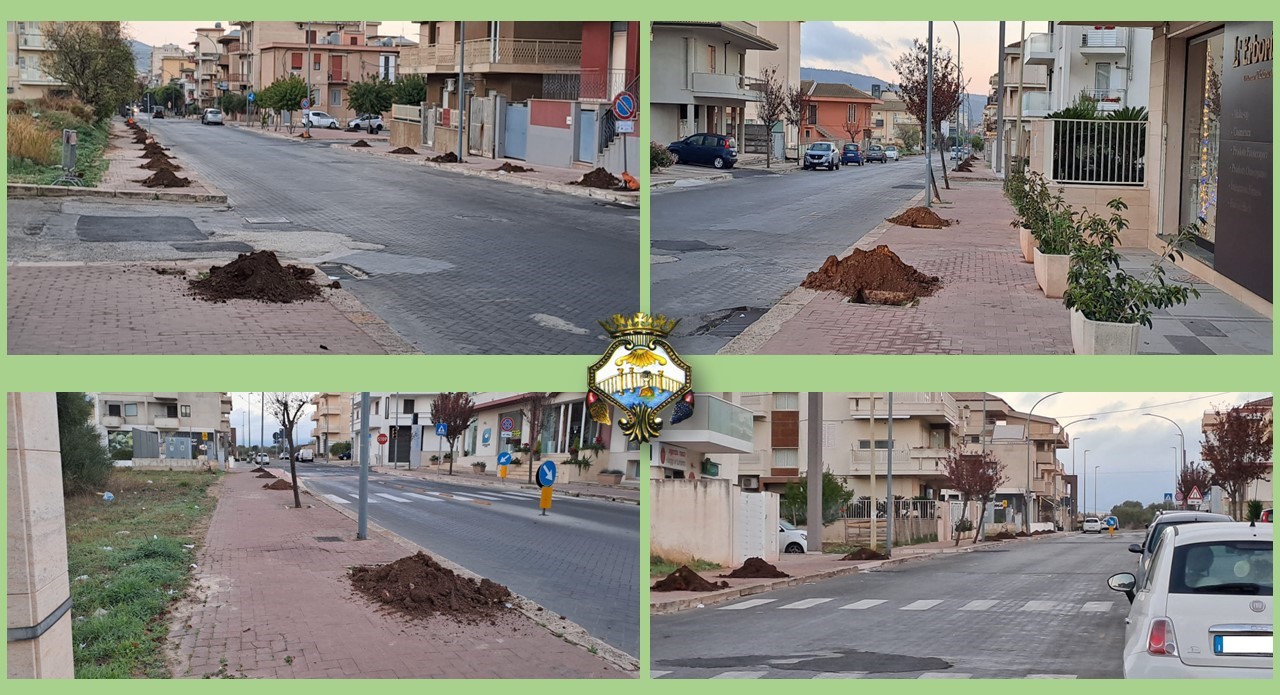 Comiso: saranno piantumati 45 nuovi alberi lungo viale della Resistenza