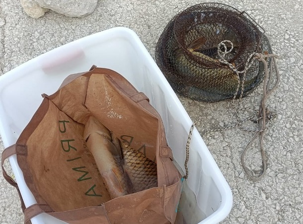 Pescava senza licenza e con i documenti scaduti al lago Santa Rosalia: sanzionato
