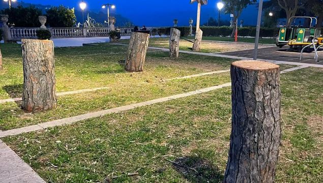 Cos’è successo ai pini della villa di Ibla? Legambiente: “Taglio avvenuto in un periodo dell’anno vietato”