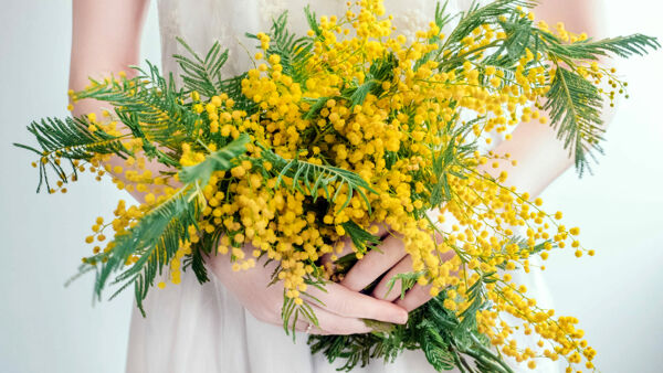 Giornata internazionale della donna: le principali iniziative in provincia di Ragusa