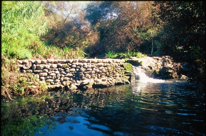 Un progetto per la riqualificazione fluviale dell’Irmino: al via Open Rivers anche a Ragusa
