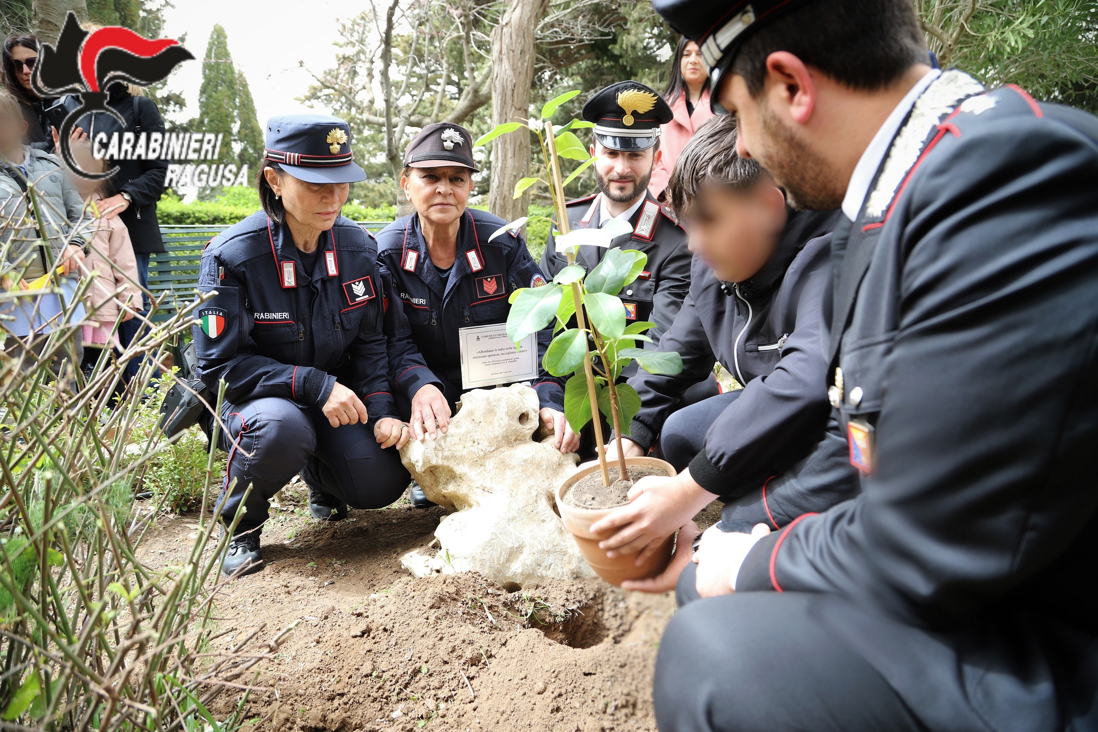 Un “albero Falcone” piantato a Chiaramonte Gulfi