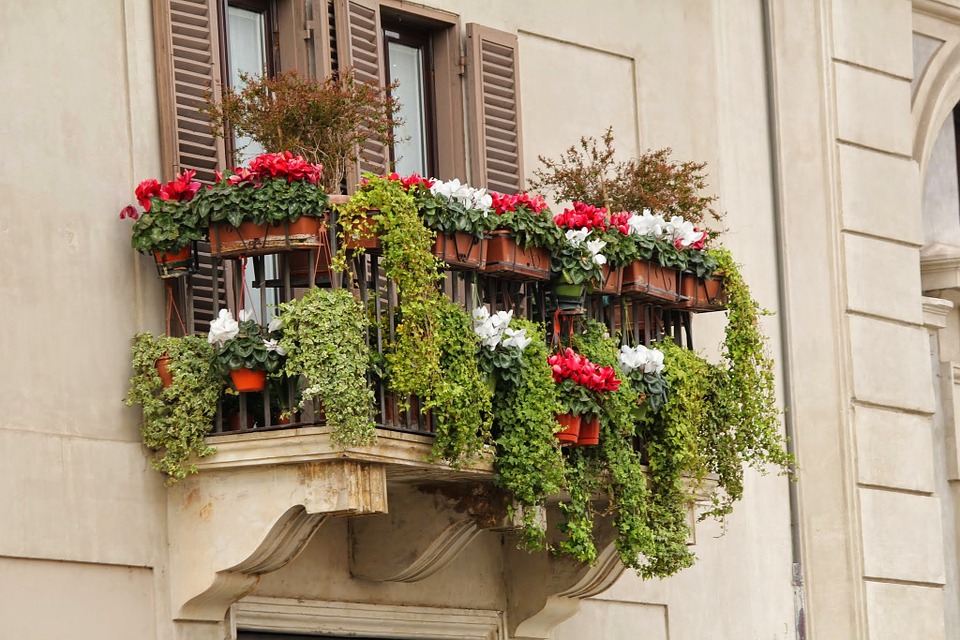 “Scicli in fiore”, terza edizione. La città si prepara ad un’esplosione di colori ed odori con l’iniziativa “Rifioriamo insieme