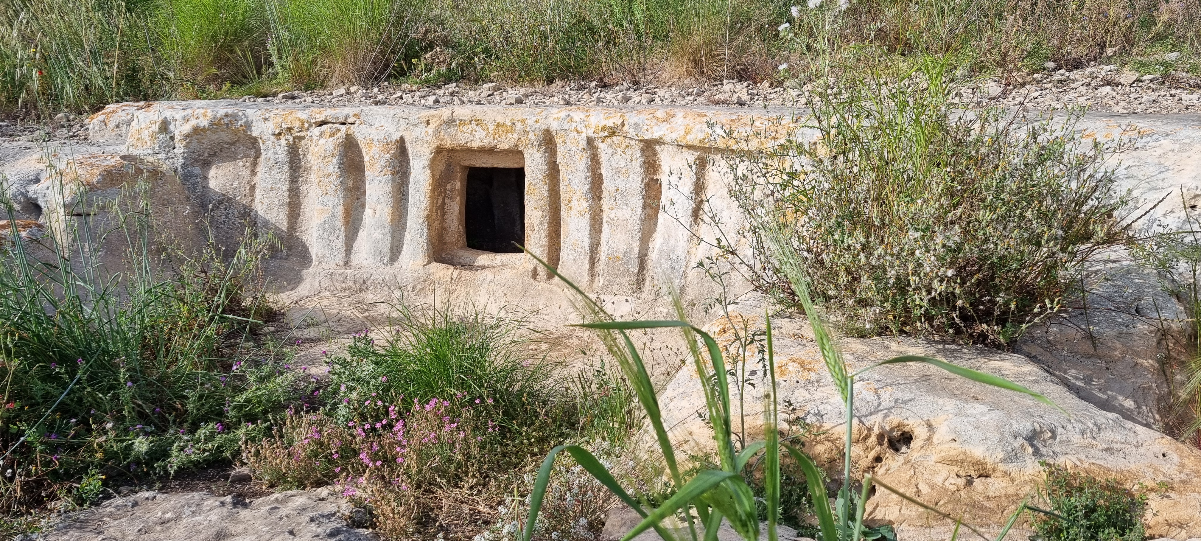Trekking di primavera nella suggestiva Cava D’Ispica