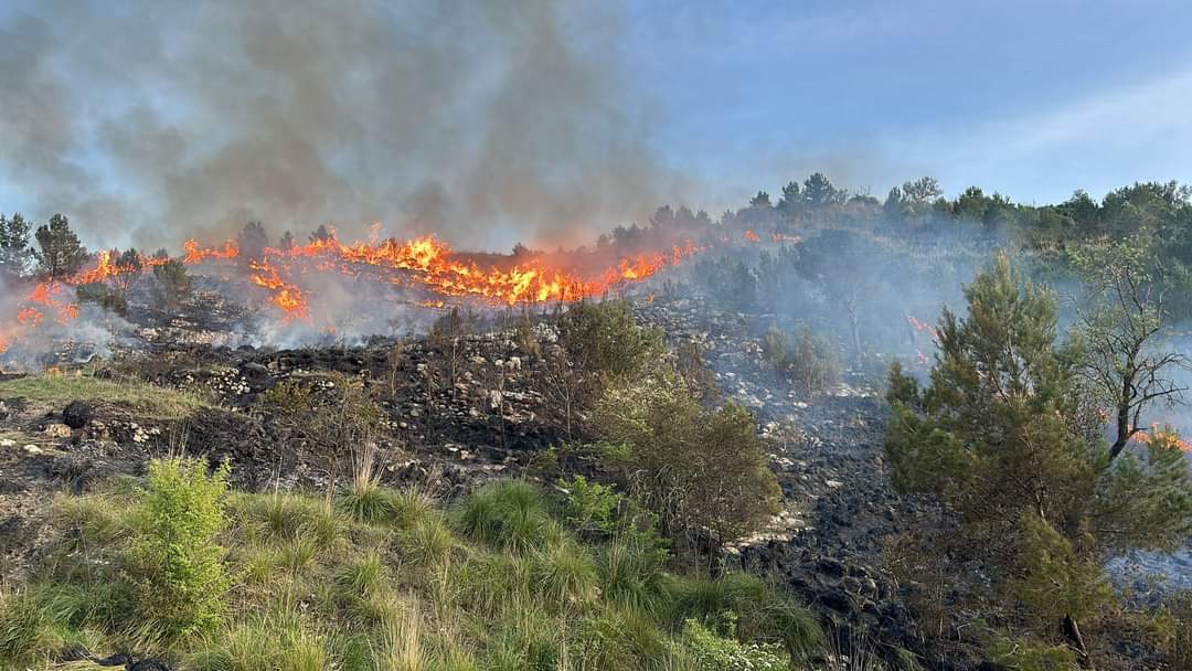 Non è stato spento l’incendio a Monterosso: due canadair in azione