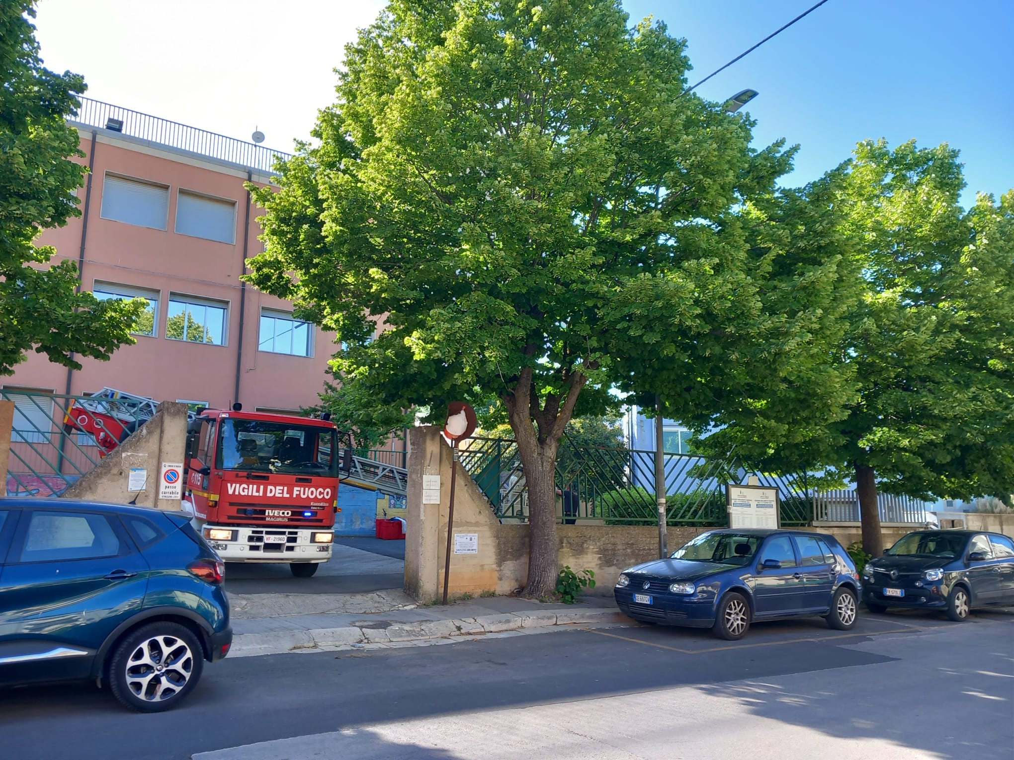 Nido d’api alla scuola Palazzello: intervengono i vigili del fuoco