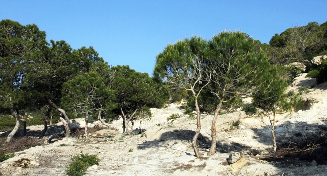 Due riserve naturali in provincia. Un patrimonio da conoscere e tutelare. Se ne parla durante una giornata di approfondimento