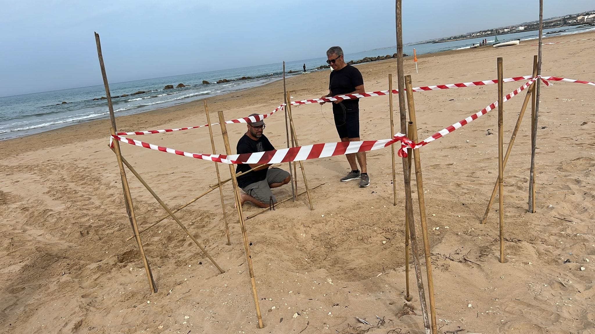 Ancora nidificazioni nelle spiagge del sud-est siciliano. Scelta anche Donnalucata. Il report della biologa Oleana Prato