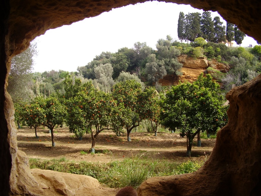 Il Fai apre le porte del Giardino della Kolymbethra nella Valle dei Templi sabato 15 giugno