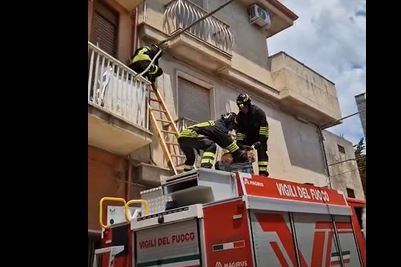 Anziano, denutrito e assetato: cocker chiuso nel balcone, salvato a Modica dai vigili del fuoco. Il caso segnalato dall’Oipa