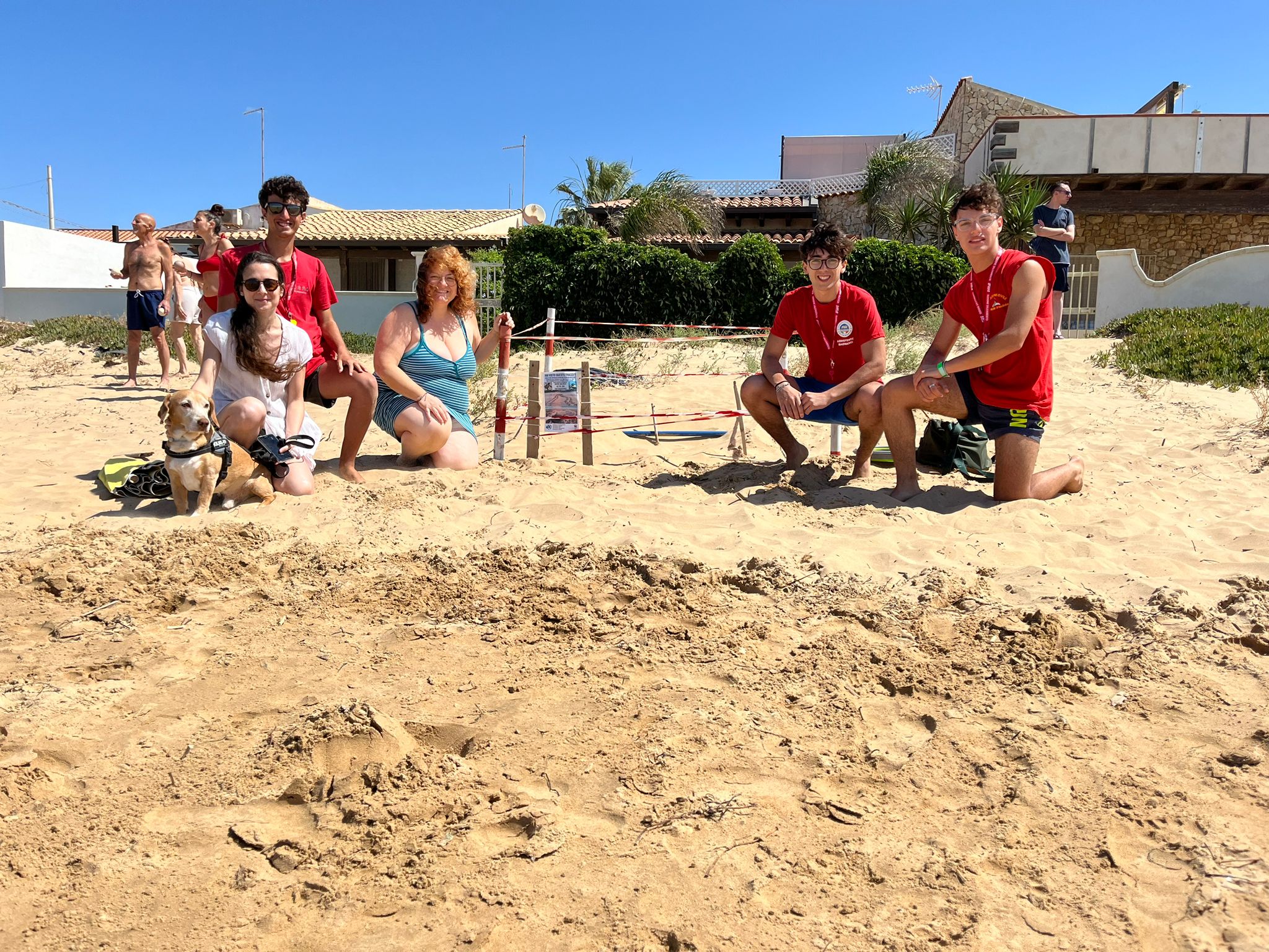 Straordinario ritrovamento a Punta Braccetto: 116 uova di Caretta Caretta messe in sicurezza. FOTO