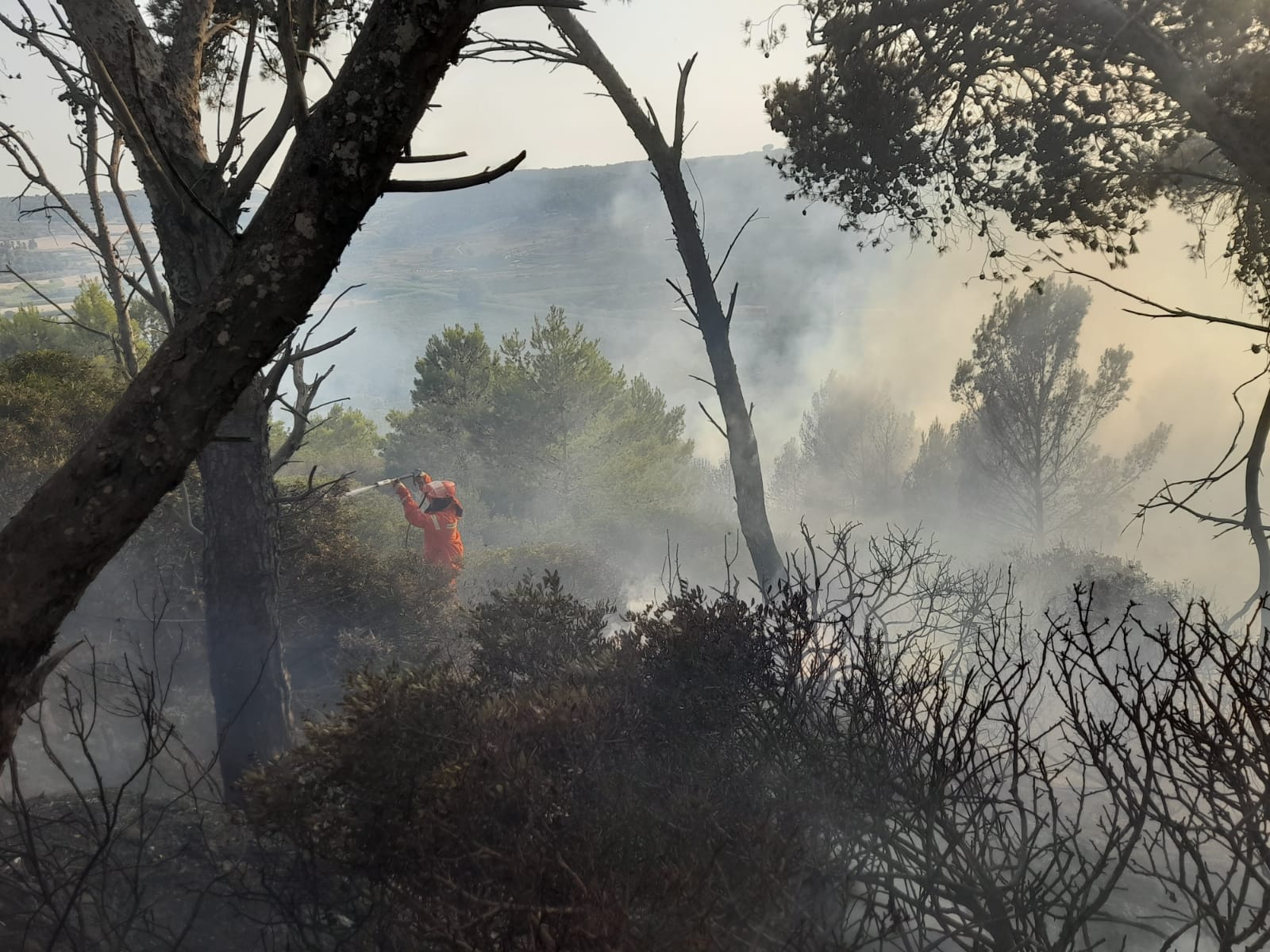 Incendio nella valle dell’Ippari a Vittoria: in salvo il depuratore