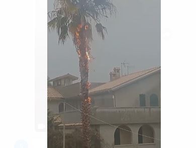 Fulmine si abbatte su Ispica e colpisce una palma