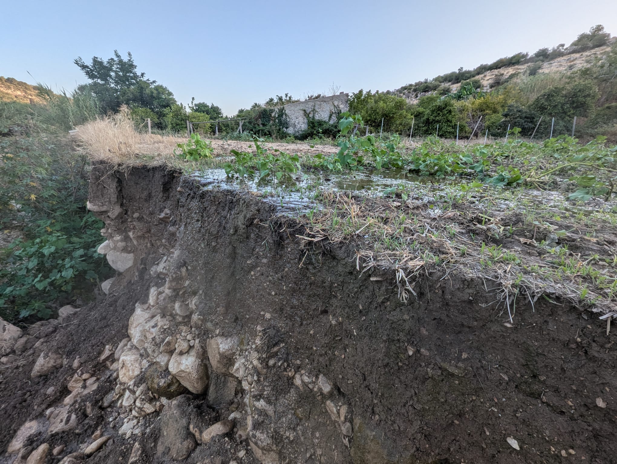 Agricoltori di serie A e di serie B lungo la Fiumara. Disparità nell’uso dell’acqua