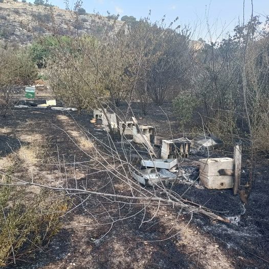 Incendio in contrada Fiumara, individuato il responsabile. Denunciato sciclitano