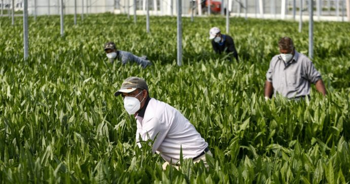 Sempre più soldi dalla Sicilia finiscono all’estero: in totale 4 miliardi. Sono le rimesse dei lavoratori stranieri