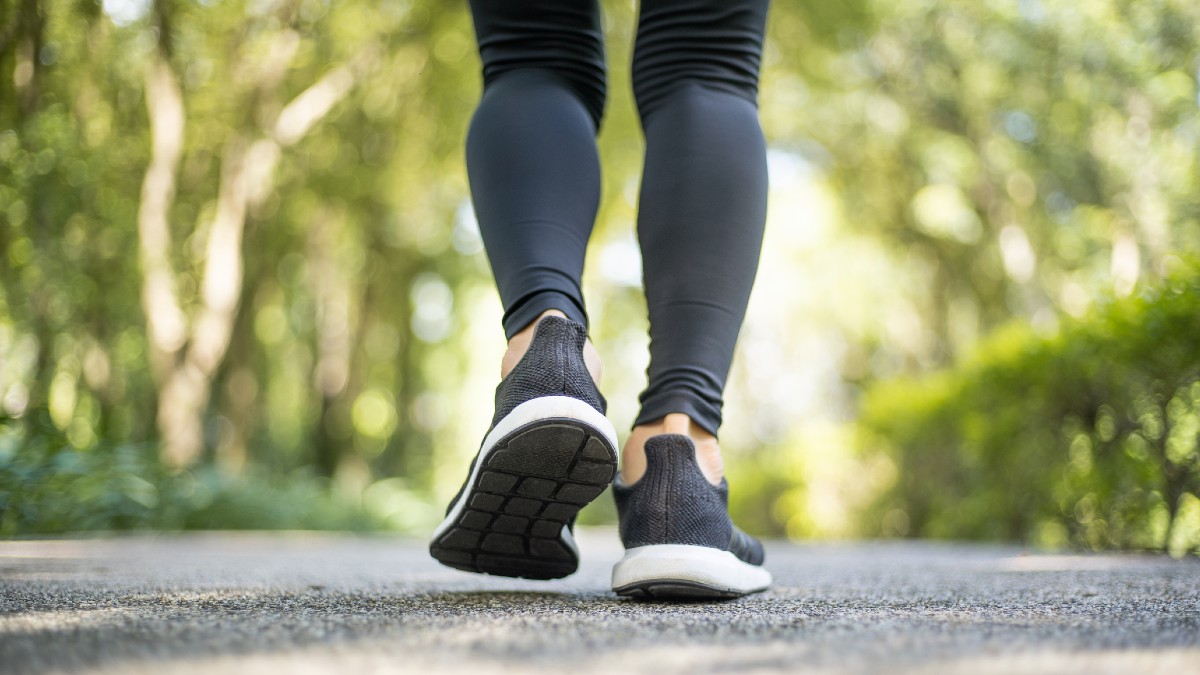 Vacanze e recupero fisico. Una camminata per tenersi in forza