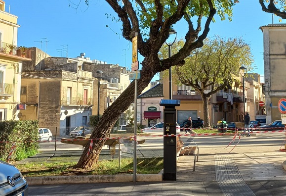 Ragusa: sarà abbattuto un albero in piazza Cappuccini per ragioni di sicurezza