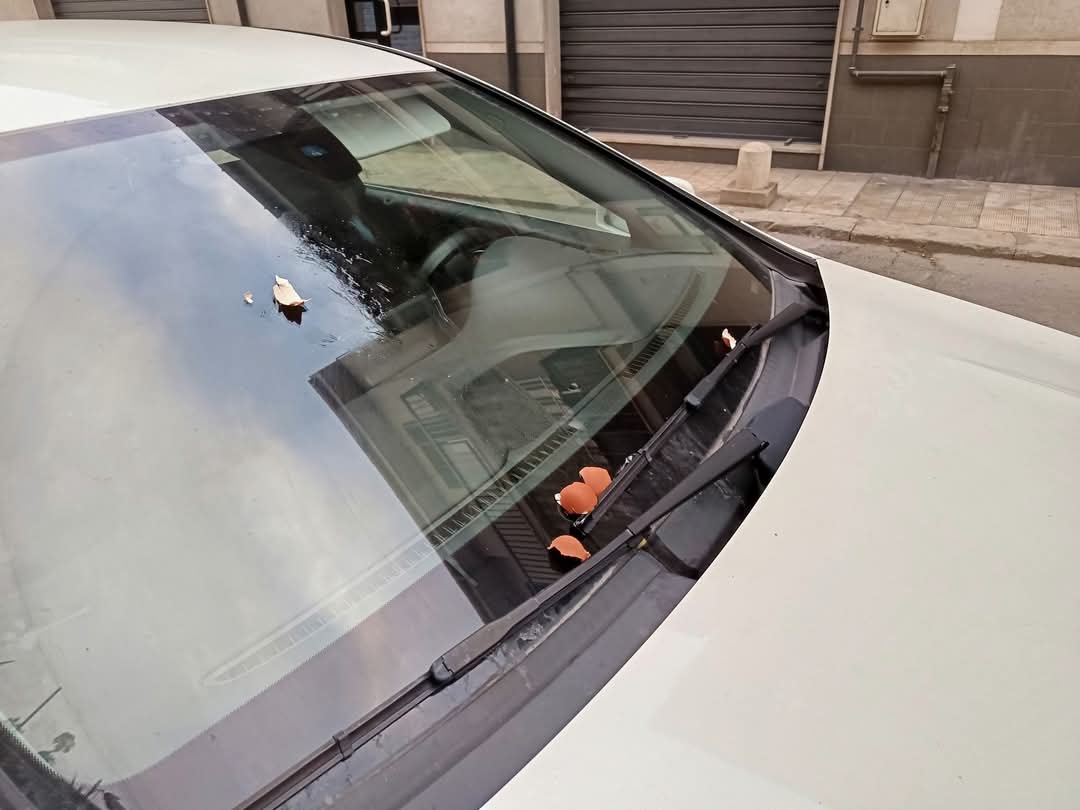 Atto vandalico contro il dottor Giuseppe Raffa: un possibile segnale intimidatorio
