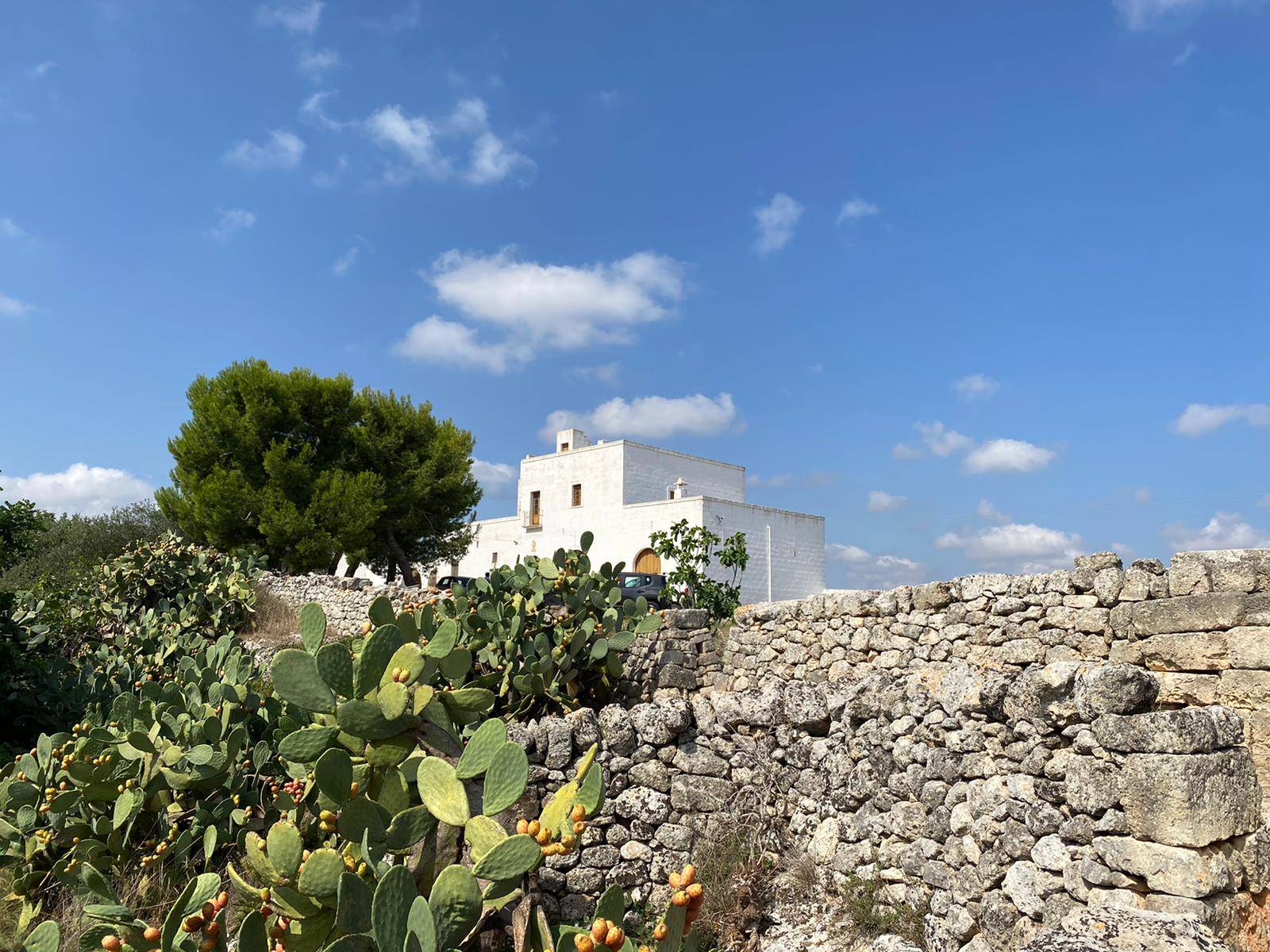 Storie di Sicilia: le piante di fico d’India nella masseria del nonno Turiddu