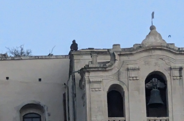 Salire sul tetto del duomo di San Matteo e godersi il panorama. L’ebbrezza del rischio