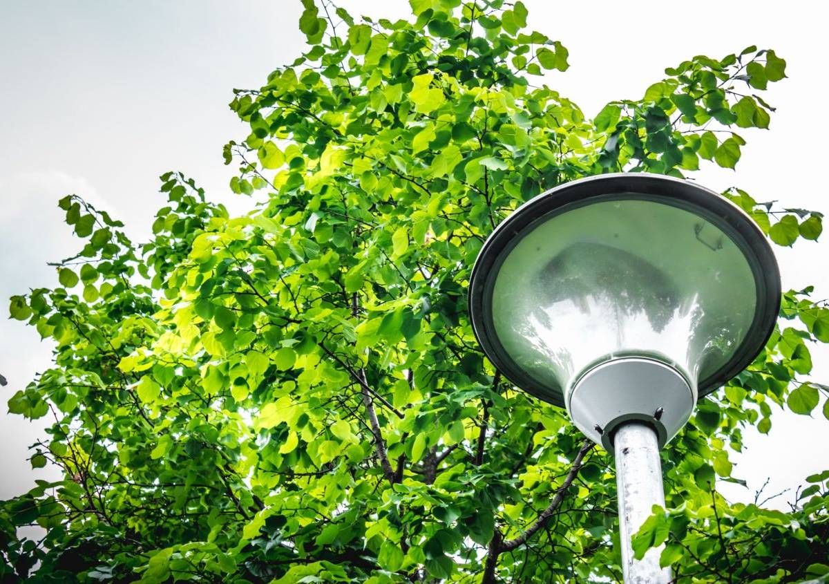 Ragusa dice  addio a 3,5 milioni per l’illuminazione pubblica: il Comune perde il finanziamento