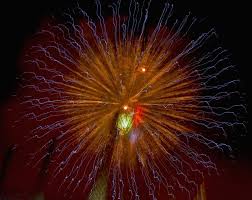 Festeggia i domiciliari con fuochi d’artificio e video sui social: è tornato in carcere