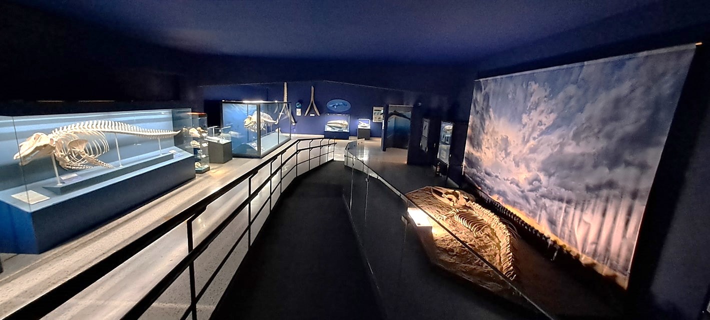 Il Museo Civico di Comiso un gioiello della provincia di Ragusa sempre più apprezzato