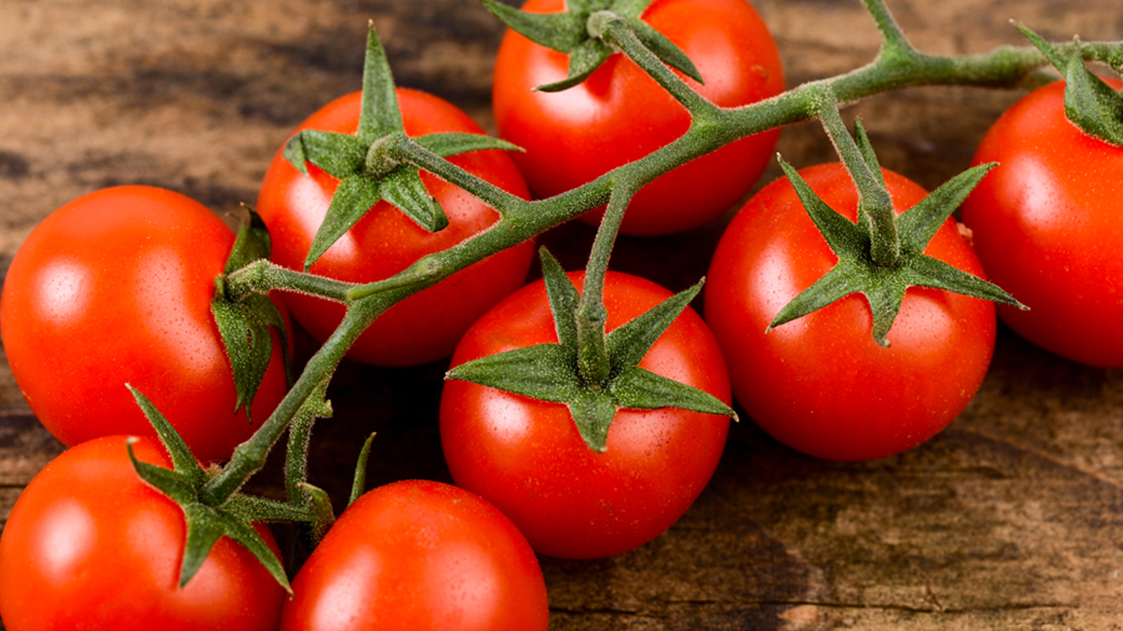 Condannato per un pomodoro: ora la Cassazione assolve l’imprenditore di Vittoria