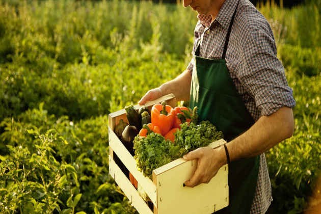 A Ragusa il primo Forum sull’Agroecologia Circolare: sostenibilità, energia verde e diritti umani al centro del dibattito