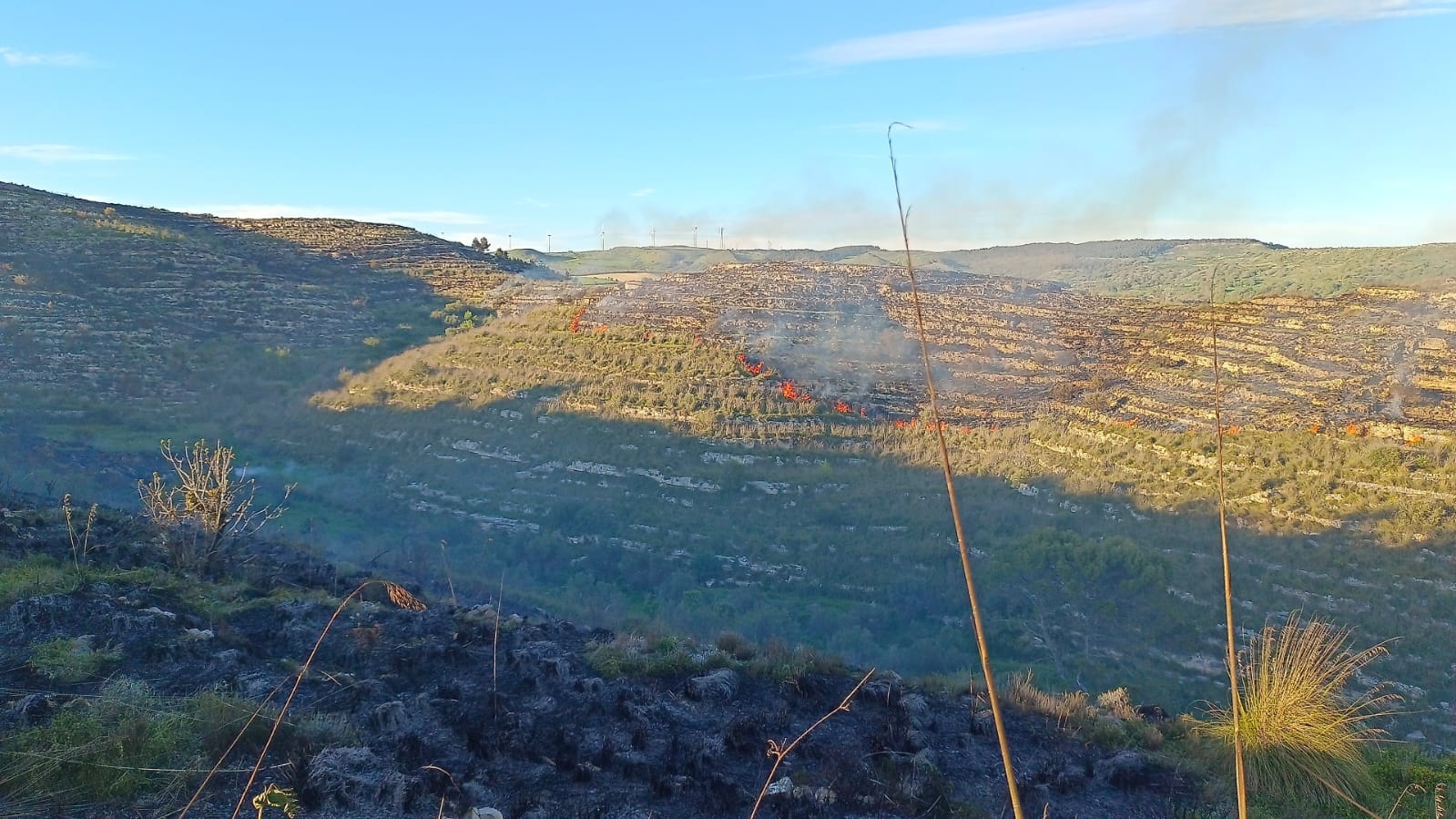 Giarratana, vasto incendio in contrada Margi: interventi aerei e sorveglianza notturna
