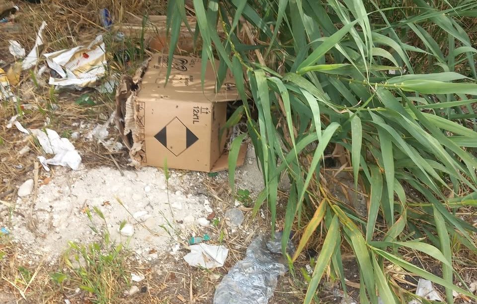 Pollame morto e degrado nel parcheggio del supermercato: a Vittoria  è emergenza igienica in via Failla
