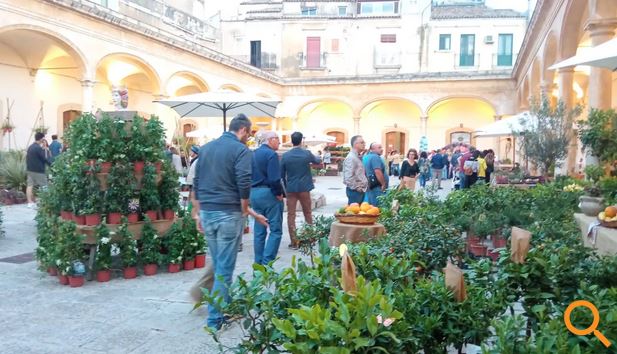 Comiso sboccia con “Innesto”: arte, natura e bellezza nel cuore della città
