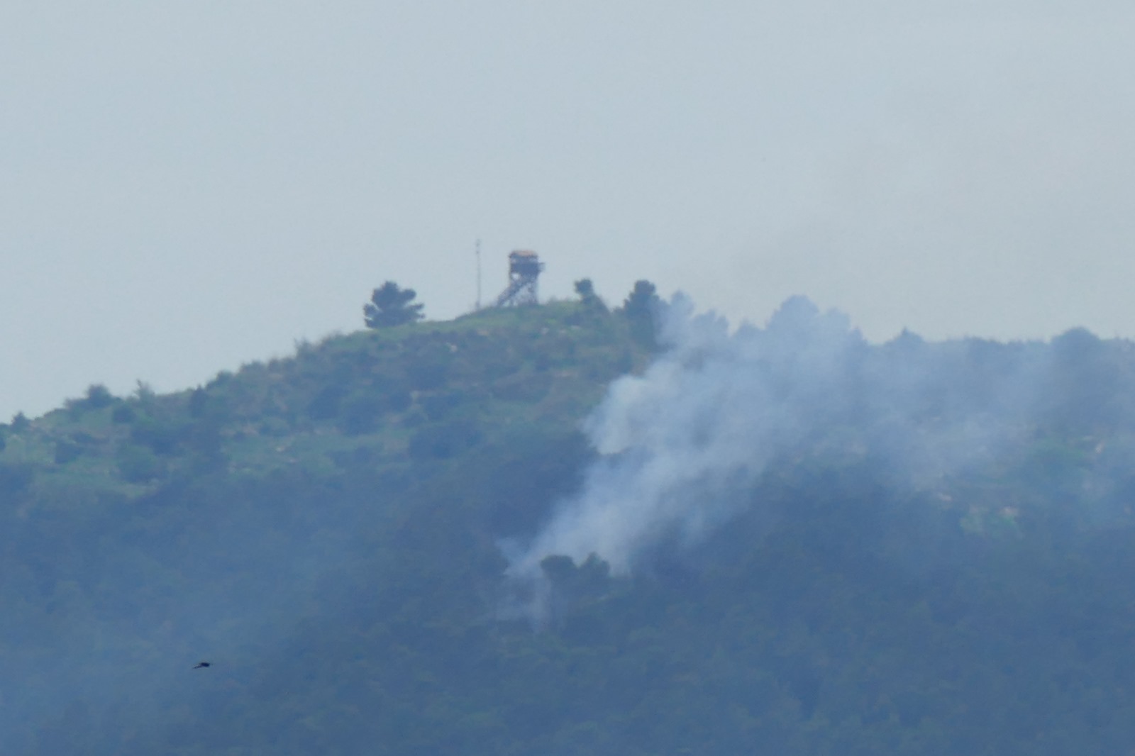 Monterosso, bosco in fiamme sotto la pioggia: si stimano 5 ettari di vegetazione andati in fumo