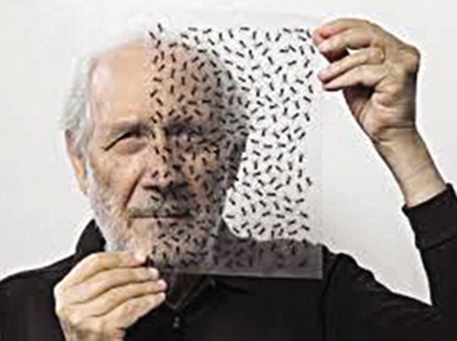 Scicli inaugura il MACC: Emilio Isgrò invade la città con “L’Opera delle formiche”