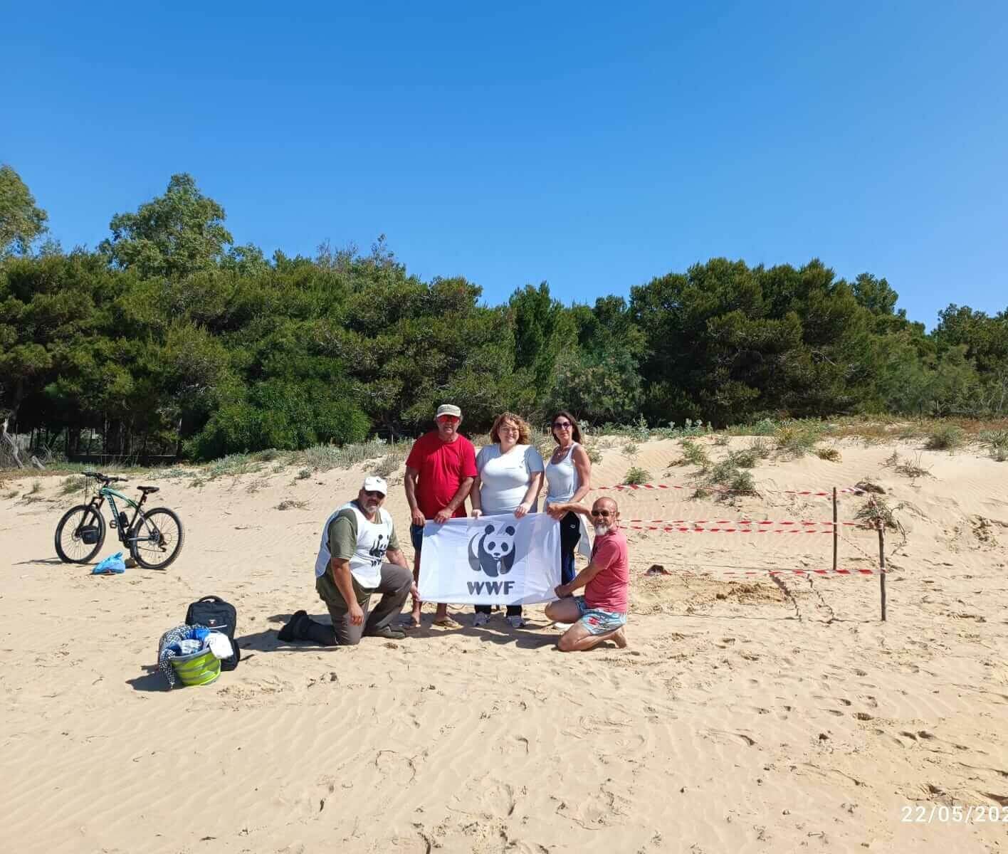 Il primo nido di tartarughe marine in Sicilia è lungo la costa ragusana: ecco dove