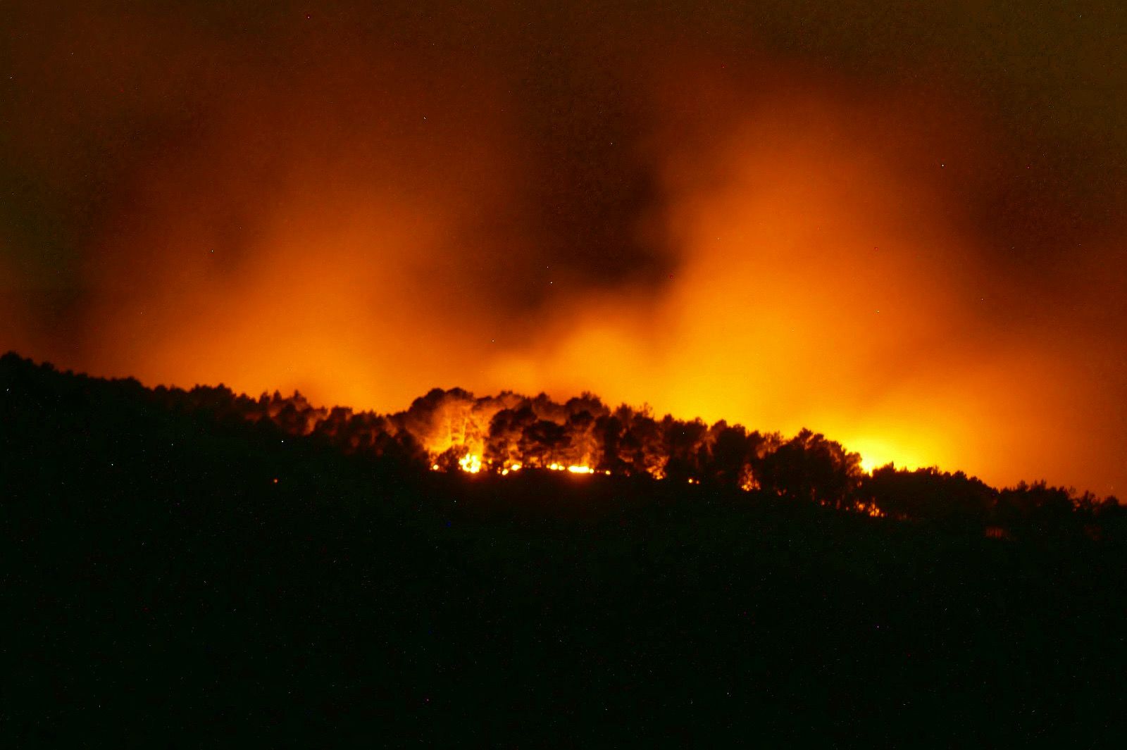 Notte di fuoco su Monte Casasia: il bosco continua a bruciare