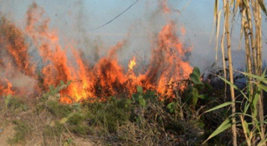 Incendi nella zona di Vittoria: fiamme nella zona del “Tempio” e alla periferia della città