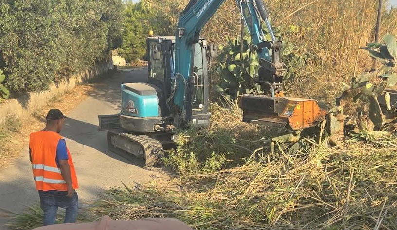 Comune e privati insieme per rimuovere il canneto di via Paganini a Cava d’Aliga, pericoloso per viabilità e per rischio incendio