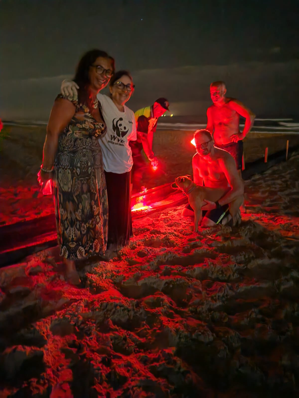Tyche, la cagnolina che ha salvato sei tartarughine appena nate nella spiaggia di Arizza