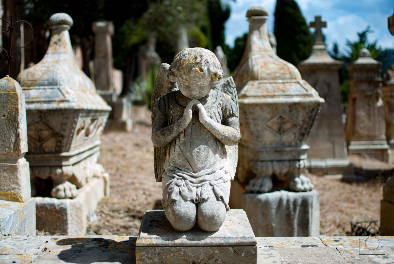 Fine settimana culturale a Scicli: passeggiata “a sei zampe” con animali al seguito e visita al Cimitero monumentale