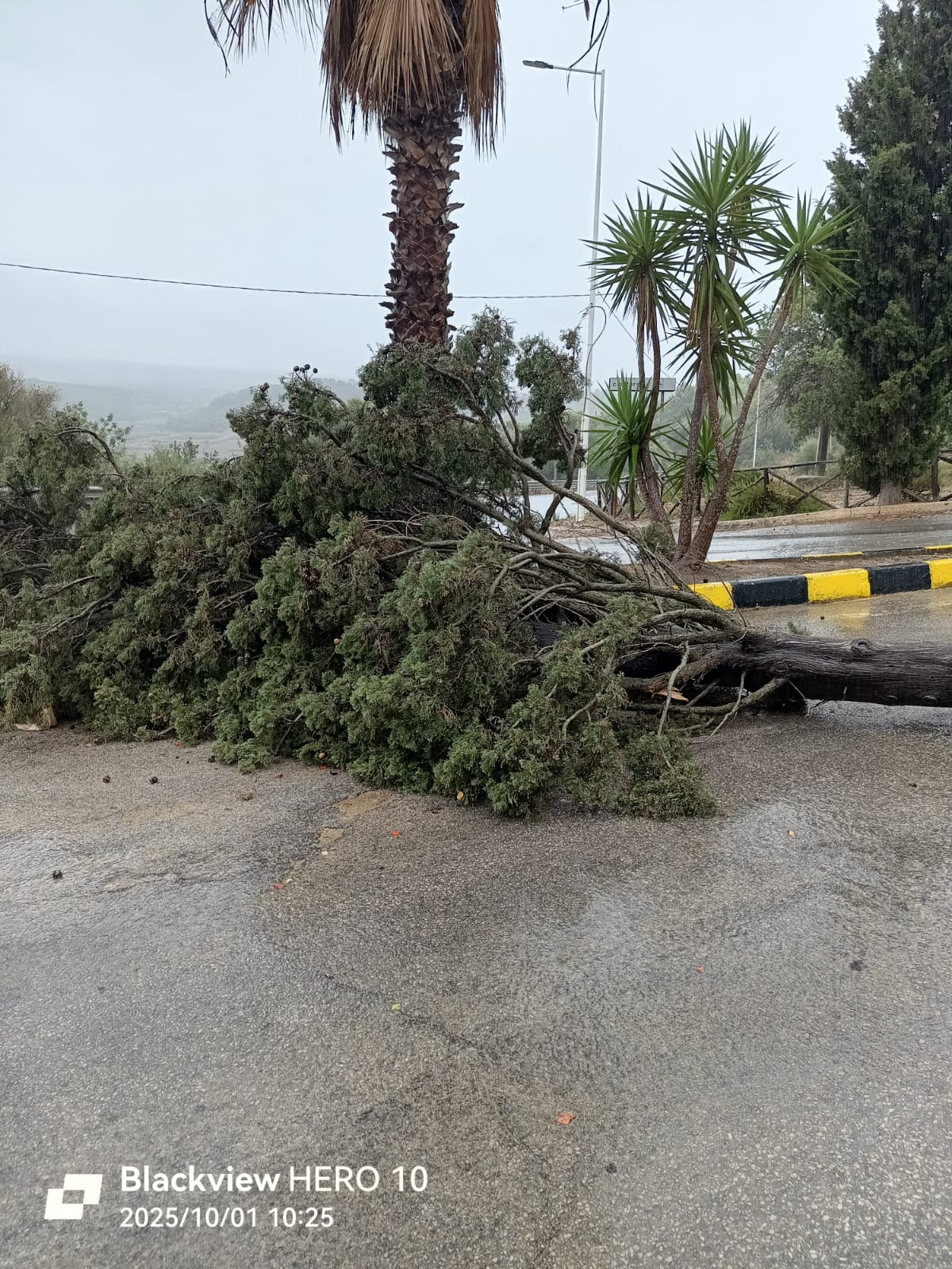meteo a vittoria provincia di ragusa