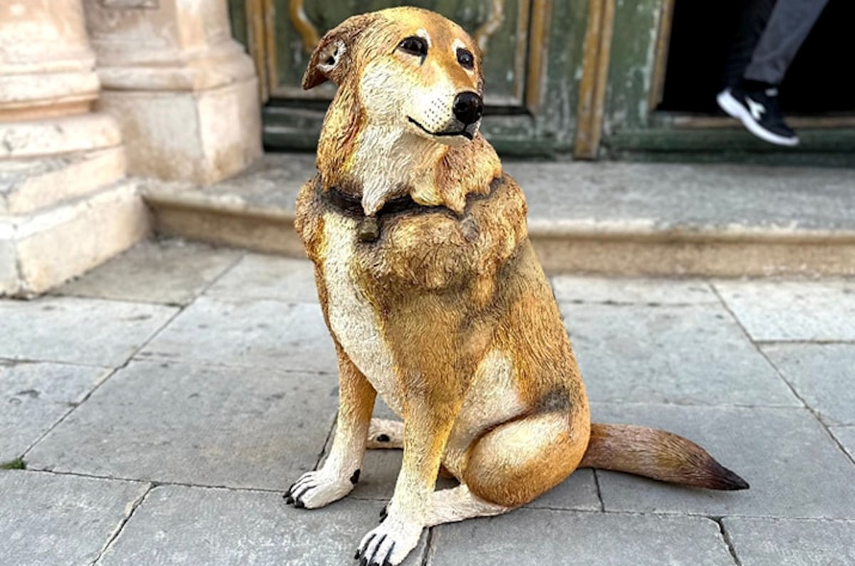 Nella città di Italo, il cane umano, campagna speciale per la microschippatura