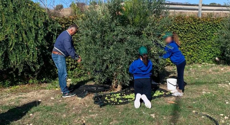 Da discarica abbandonata a uliveto: ecco come bambini e anziani stanno cambiando contrada Zagarone