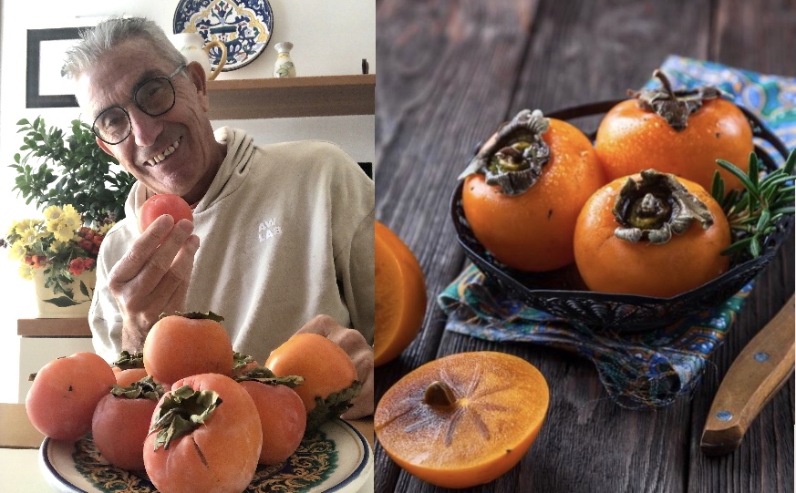 Storie di Sicilia. I cachi: un frutto ricco di storia e ricordi