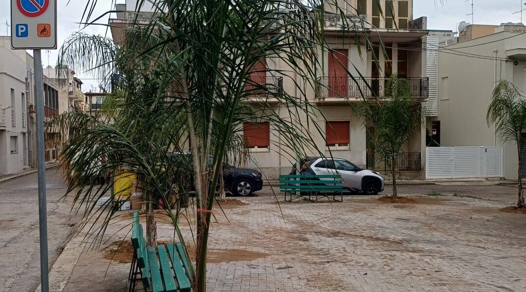 Donnalucata come Marina? “Piante esotiche inadatte, servono specie autoctone”