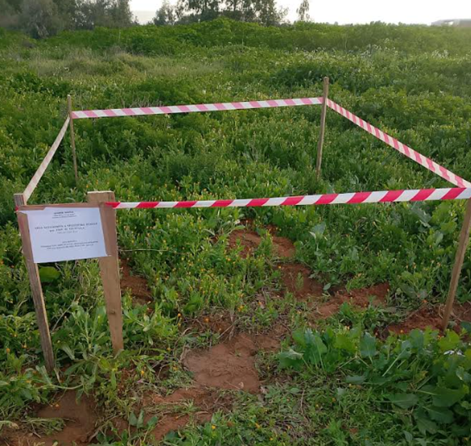 Animali senza diritti: cane sepolto illegalmente, scatta la denuncia a Comiso